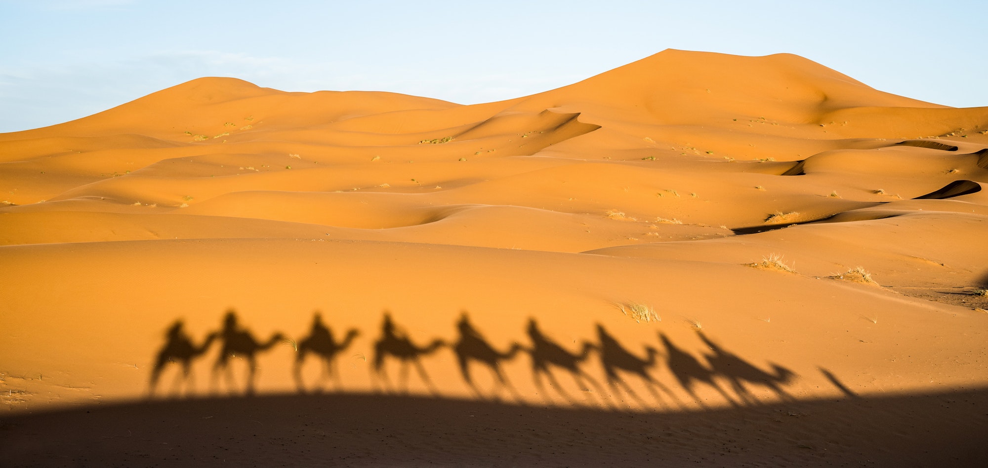 Shadow of tourists caravan riding dromedaries through sand dunes in Sahara desert